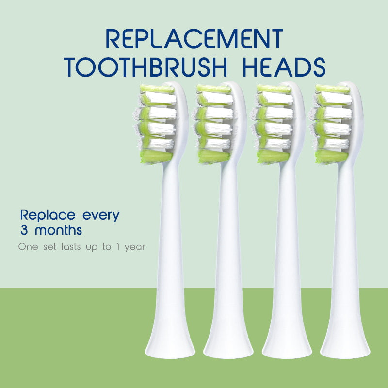 Biovello WS500 Replacement Toothbrush Heads