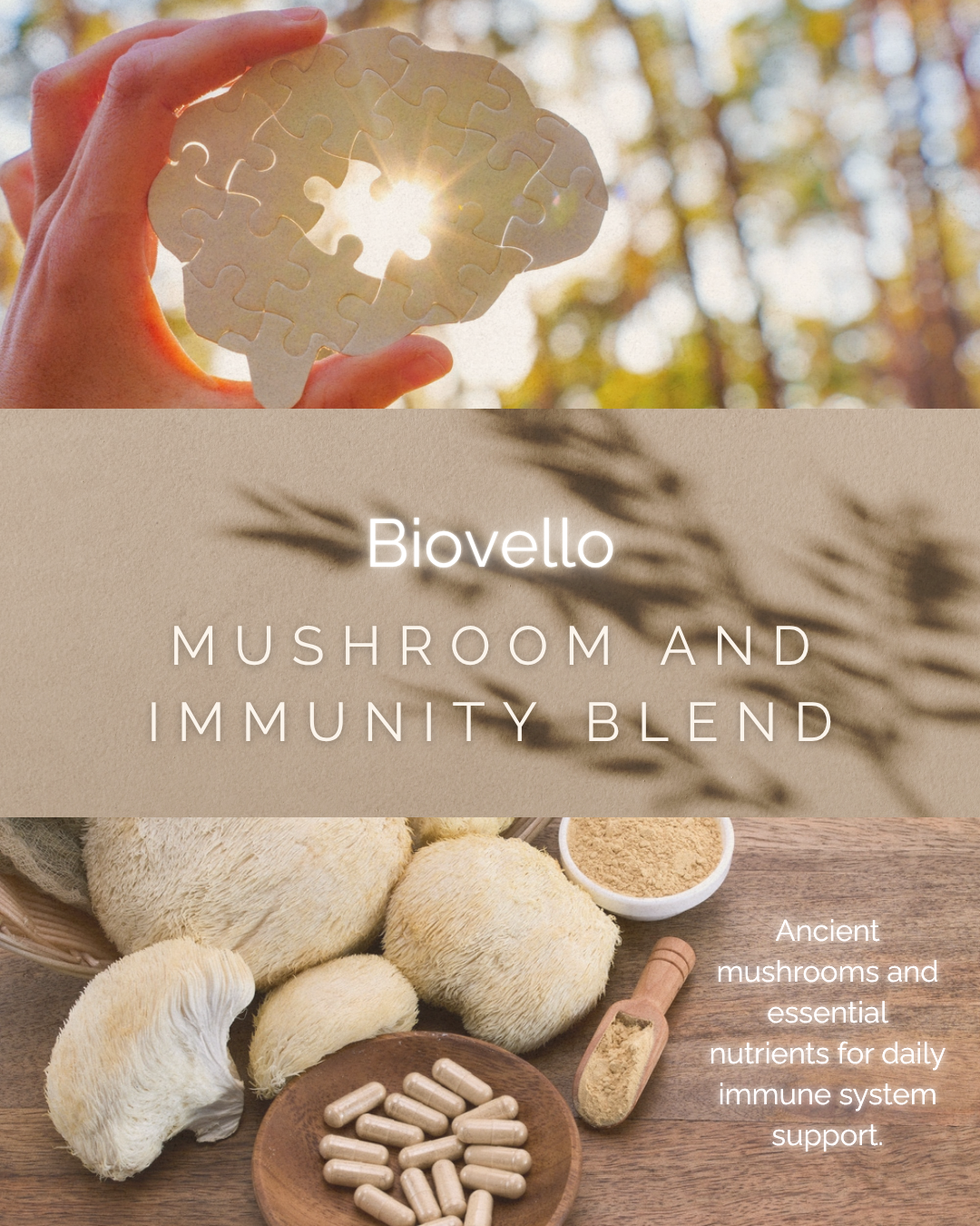 Biovello Mushroom & Immunity Complex