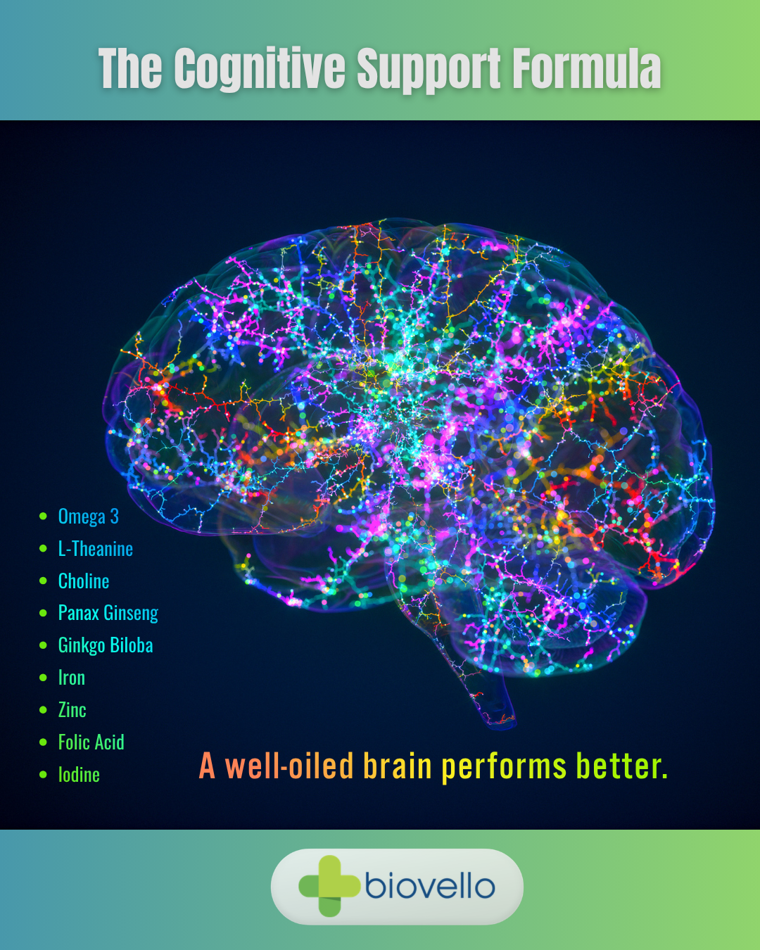 Biovello Cognitive Support Formula Unwrapped
