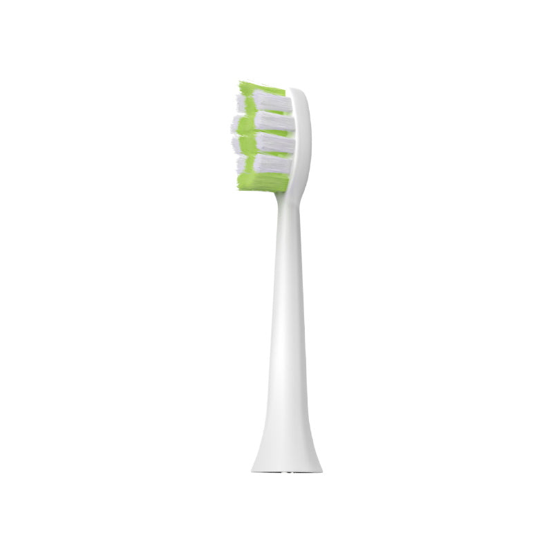 Biovello WS500 Replacement Toothbrush Heads