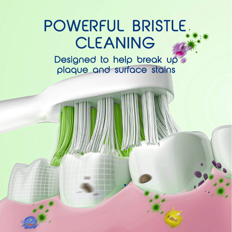 Biovello WS500 Replacement Toothbrush Heads