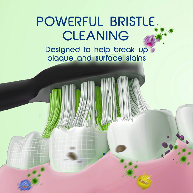 Biovello WS500 Replacement Toothbrush Heads